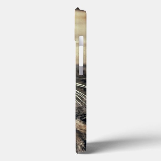 アメリカ、ユタ、キャピトルリーフNP。寝台の猫 Case-Mate iPhoneケース (裏面 / 左)