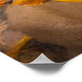 アメリカ、ユタ、シオン国立公園。センチネル1 ポスター (角)