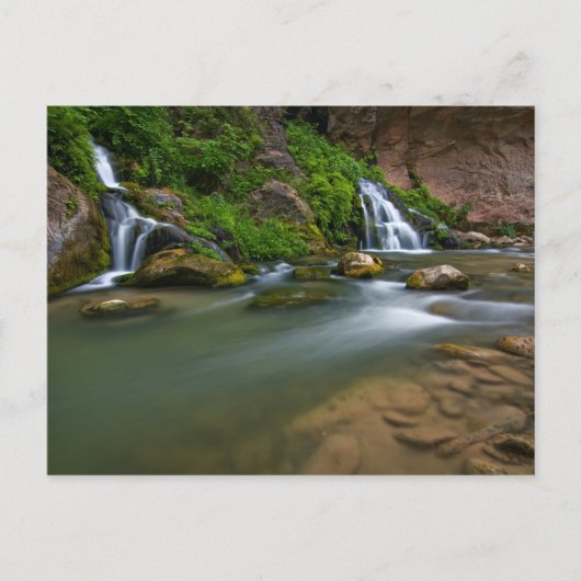 アメリカ、ユタ、シオン国立公園。ヴァージン ポストカード (正面)