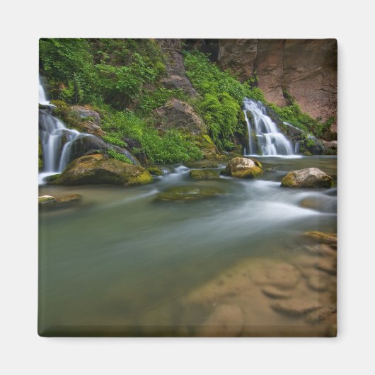 アメリカ、ユタ、シオン国立公園。ヴァージン マグネット (正面)