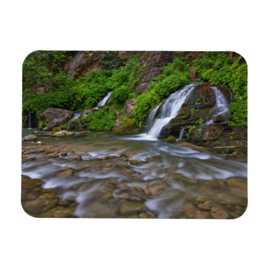 アメリカ、ユタ、シオン国立公園。大きな春 マグネット (横)