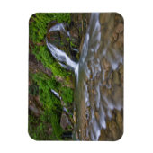 アメリカ、ユタ、シオン国立公園。大きな春 マグネット (縦)