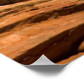 アメリカ、ユタ、シオン国立公園。松 ポスター (角)