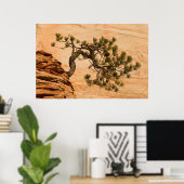 アメリカ、ユタ、シオン国立公園。松 ポスター (ホームオフィス)