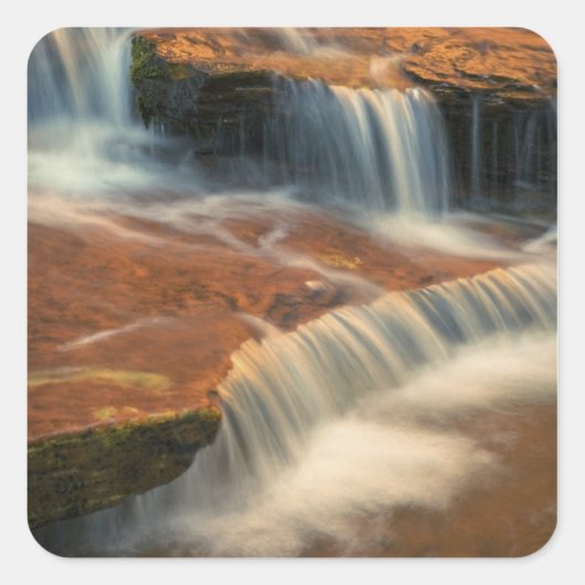 アメリカ、ユタ、シオン国立公園。2名勝 スクエアシール (正面)