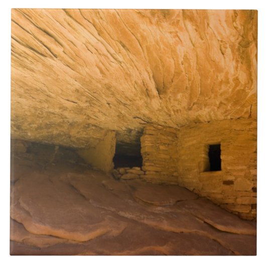 アメリカ、ユタ、シダーメサ、マレ・キャニオン。砂岩 タイル (正面)