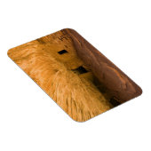 アメリカ、ユタ、シダーメサ、マレ・キャニオン。砂岩 マグネット (右側)