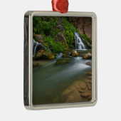 アメリカ、ユタ、ジオン国立公園。ヴァージン メタルオーナメント (右)