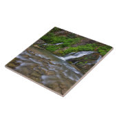 アメリカ、ユタ、ジオン国立公園。 大春 タイル (側面)