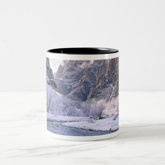 アメリカ、ユタ、ジオンNP。峡谷を新しい雪が覆う ツートーンマグカップ (中央)