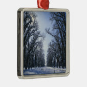 アメリカ，ユタ，ソルトレイクシティ，リバティーパーク， メタルオーナメント (右)