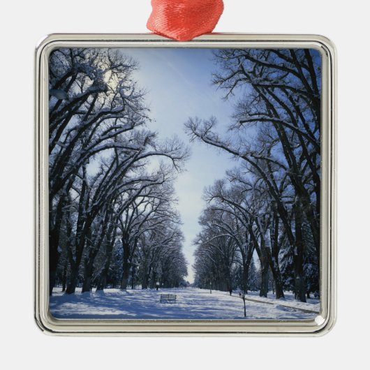 アメリカ，ユタ，ソルトレイクシティ，リバティーパーク， メタルオーナメント (正面)