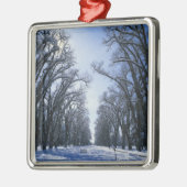 アメリカ，ユタ，ソルトレイクシティ，リバティーパーク， メタルオーナメント (左)