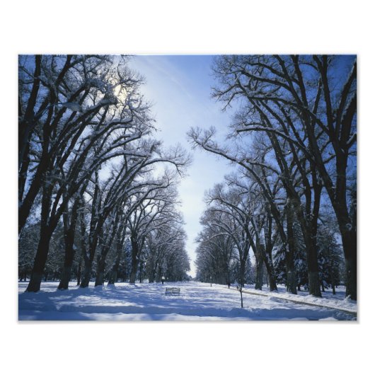 アメリカ、ユタ、ソルトレークシティー、リバティー・パーク、 フォトプリント (正面)