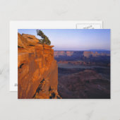 アメリカ、ユタ、デッドホースポイントSP。晩光線が変わる ポストカード (正面/裏面)