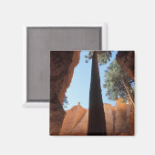 アメリカ、ユタ、ブライス峡谷国立公園。トール マグネット (正面/裏面)