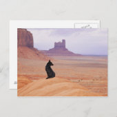 アメリカ,ユタ,モニュメントバレー,岩に座っている犬 ポストカード (正面/裏面)