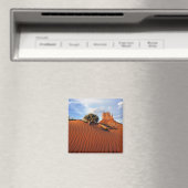 アメリカ、ユタ、モニュメントバレー。風が作る マグネット (インサイチュ (食洗機))