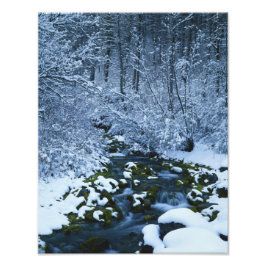 アメリカ、ユタ、ワサッチ捕獲国有林 フォトプリント           