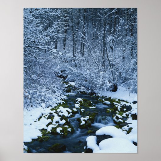 アメリカ、ユタ、ワサッチ捕獲国有林 ポスター (正面)