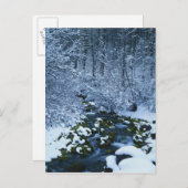 アメリカ、ユタ、ワサッチ捕獲国有林 ポストカード (正面/裏面)