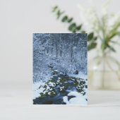 アメリカ、ユタ、ワサッチ捕獲国有林 ポストカード (スタンド正面)