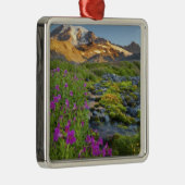 アメリカ·レイニエ山国立公園（ワシントン） メタルオーナメント (右)
