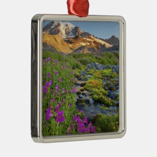 アメリカ·レイニエ山国立公園(ワシントン) メタルオーナメント (右)
