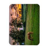 アメリカ、レキシントン、ケンタッキー。日の暮れ時に一頭の馬 マグネット (縦)