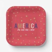 アメリカ レッド 4th of July 装飾 紙皿 (正面)