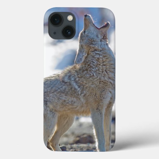アメリカ ワイオミング州 イエローストーン国立公園 コヨーテ Case-Mate iPhoneケース (裏面)