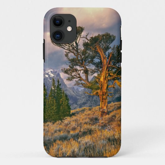 アメリカ、ワイオミング州、グランドティートン国立公園。日の出が迎える Case-Mate iPhoneケース (裏面)