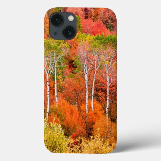 アメリカ ワイオミング州 ロッキー山脈の秋の色 Case-Mate iPhoneケース (裏面)