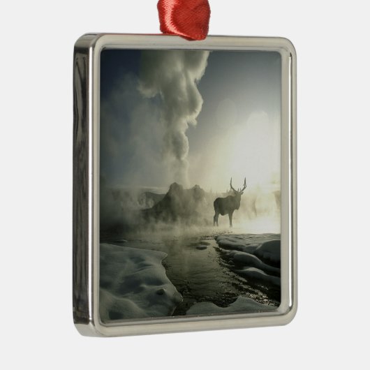 アメリカ、ワイオミング、イエローストーン国立公園。サンライズ メタルオーナメント (右)