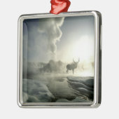 アメリカ、ワイオミング、イエローストーン国立公園。サンライズ メタルオーナメント (左)