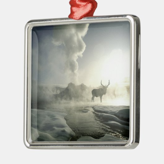 アメリカ、ワイオミング、イエローストーン国立公園。サンライズ メタルオーナメント (左)