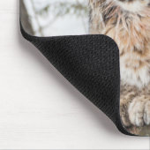 アメリカ、ワイオミング、イエローストーン国立公園、ボブキャット マウスパッド (コーナー)