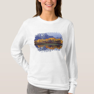 アメリカ ワイオミング グランドティトン国立公園 Mt. Tシャツ