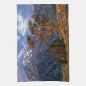 アメリカ、ワイオミング、グランドテトンNP.一本杉 キッチンタオル (縦)