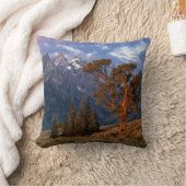 アメリカ、ワイオミング、グランドテトンNP.一本杉 クッション (ブランケット)