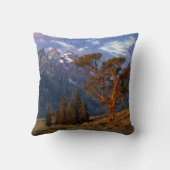 アメリカ、ワイオミング、グランドテトンNP.一本杉 クッション (裏面)