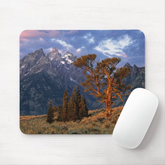 アメリカ、ワイオミング、グランドテトンNP。一軒杉 マウスパッド (マウス)