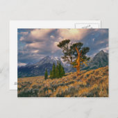 アメリカ、ワイオミング、グランドテトンNP。日の出は月を迎える ポストカード (正面/裏面)