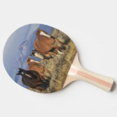 アメリカ、ワイオミング、コーディの馬グループの近く 卓球ラケット (横)