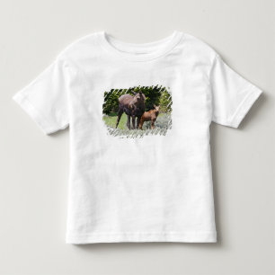 アメリカ、ワイオミング、ビグーン山脈、ムース・アルケス トドラーTシャツ