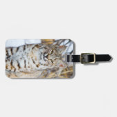 アメリカ、ワイオミング、ボブキャットポートレート ラゲッジタグ (正面横)