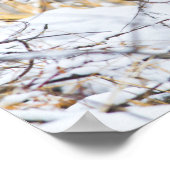 アメリカ、ワイオミング、ボブキャット雪に座って覆われた ポスター (角)