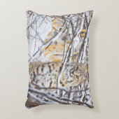 アメリカ、ワイオミング、ボブキャット アクセントクッション (正面(垂直))