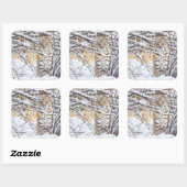 アメリカ、ワイオミング、ボブキャット スクエアシール (シート)