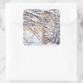 アメリカ、ワイオミング、ボブキャット スクエアシール (バッグ)